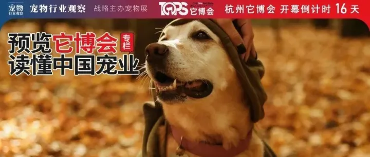 宠物玩具出行产品：要快乐也要时尚丨预览它博会