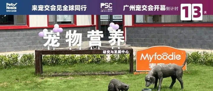 乖宝宠物三季报披露，国内宠食巨头逼近50亿年营收关口