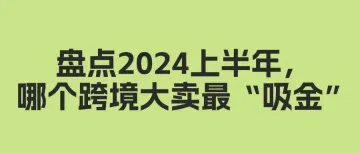 2024上半年,哪些跨境大卖赚到钱了?又是在哪个跨境电商平台赚到的?