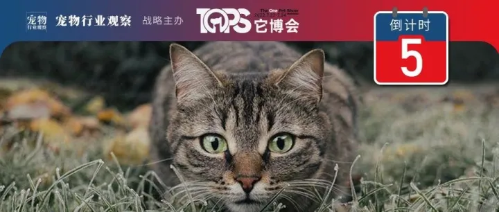 主粮基本盘，膨化干粮的四个升级路径丨预览它博会