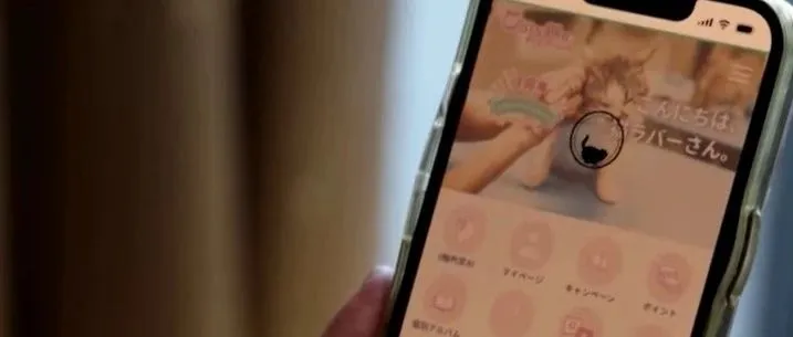 用AI解决猫咪健康问题，这款APP暴涨23万用户