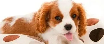 辟谣：网传迅德软件将被某大型连锁医院并购，假的