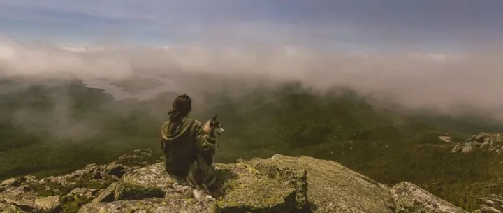 如何抓住抖音店播号红利期，这三点值得宠物品牌关注