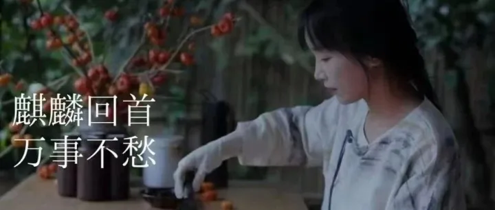 TikTok播放量超百万，李子柒归来仍是顶流！