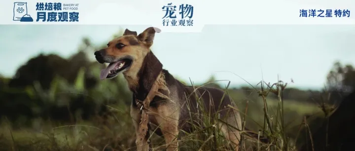 烘焙粮月度观察：产能扩容或推动品类爆发，用户由膨化转烘焙的认知逐渐生成