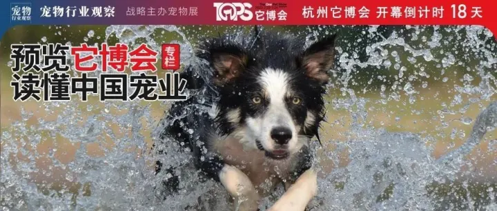 宠物清洁护理的正确打开方式丨预览它博会