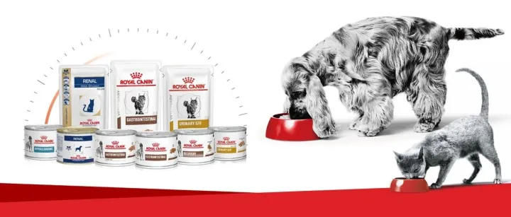 皇家宠物医渠新动作：“欧洲进口处方湿粮”要来了