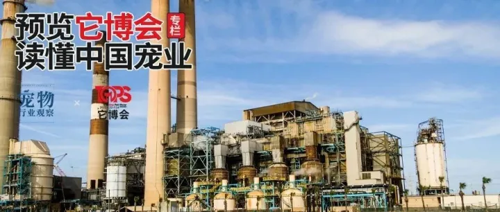 找自建工厂的品牌货？它博会上来了这些宠物品牌丨预览它博会