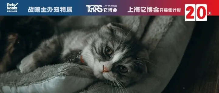 鱼油藻油磷虾油海豹油，来它博会看看哪一款是你的“老虎油”