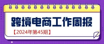 【跨境电商周报2024年第45期】