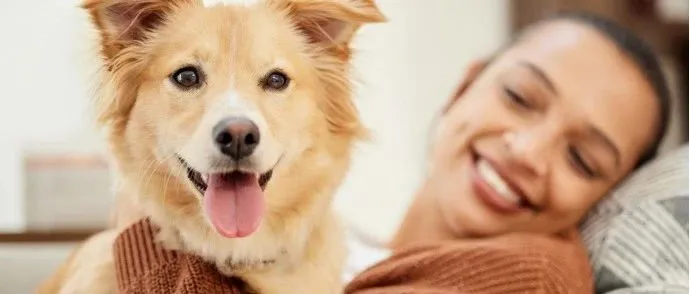 升级核心产品线，伯纳天纯要重新定义宠物食品安全？