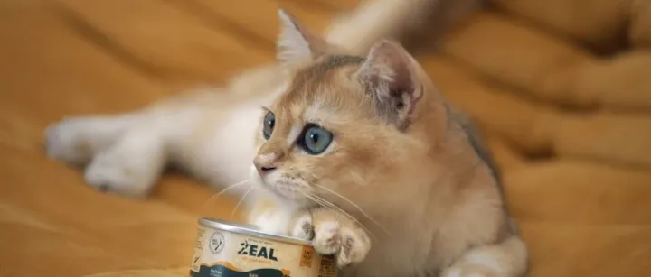 罗兰贝格&京东最近发布丨零售行业消费趋势新主张