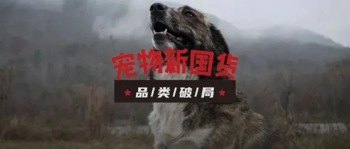 宠物清洁护理在中国：供应链标准化，国内品牌有望独占鳌头 | 宠物新国货品类破局