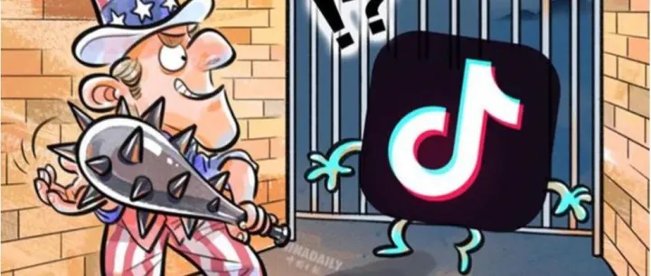 跨境“出海四小龙”：TikTok在这头，他们在那头