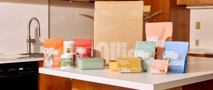 整合+并购，全球宠物美容清洁护理赛道进入新发展阶段？