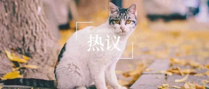 热议丨听说宠物品牌今年都准备好好做线下了?