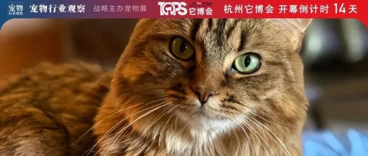 宠物线下门店综合体效应逐渐突显