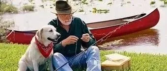 日本老年人宠物消费每年超700亿，中国有潜力嘛｜围观