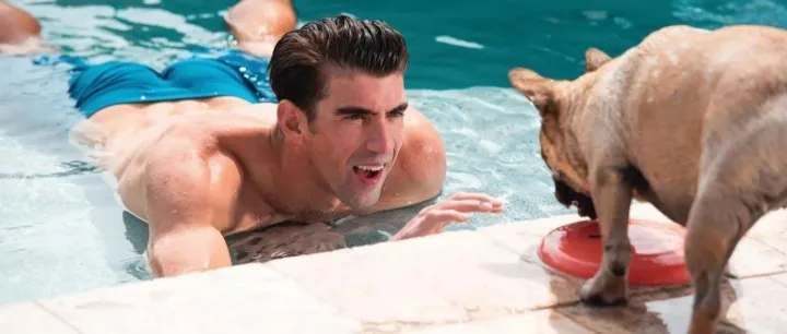 北美高端宠粮品牌Nulo诺洛进军中国，总代为派菲国际