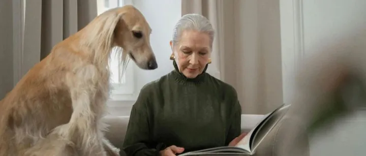 宠物品牌，怎样搭上银发经济“黄金十年”的快车？