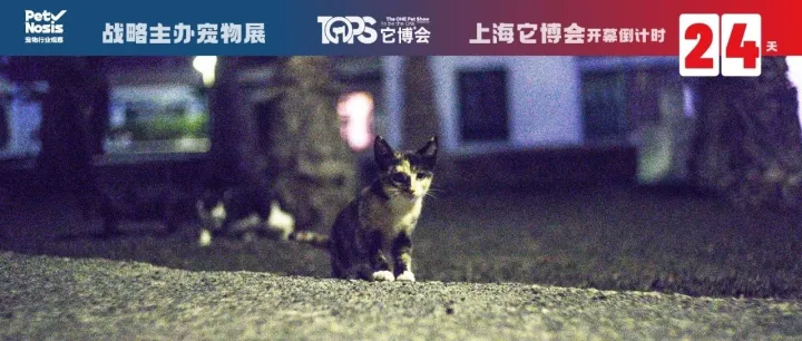 被315曝光后，“河北粮”争议何时休止？