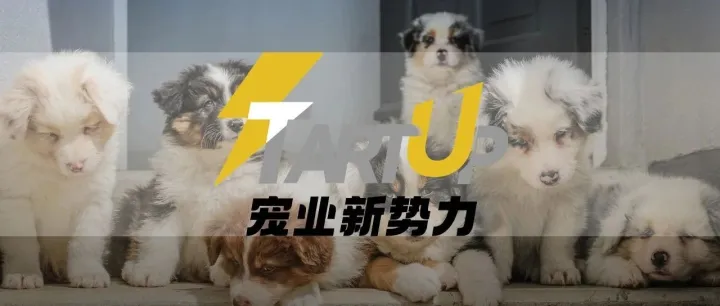 宠业新势力第一波丨来它博会，认识更多潜力新品牌