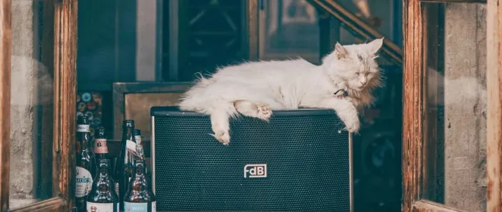 找回“盈利基因”的新瑞鹏，是否值得重新看待？