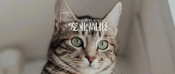 宠业周报丨巅峰启动城市合伙人项目；希诺谷完成两轮融资；