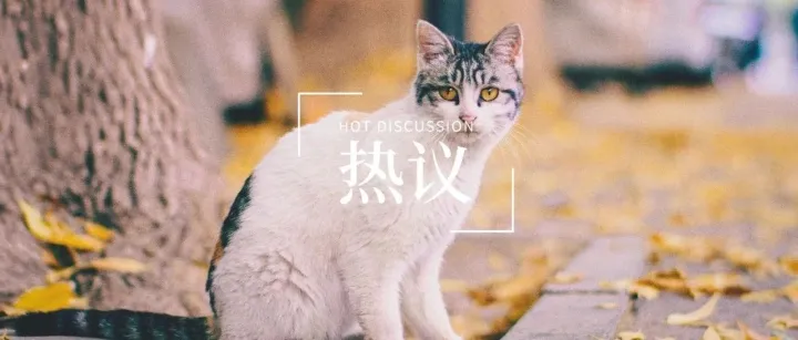热议丨宠物品牌们都是怎么做控价的？