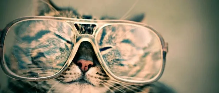 2020年度新消费品牌价值报告：这三个宠物品牌位列TOP100