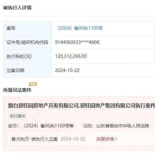 房地产资讯！碧桂园被强制执行1.2亿元