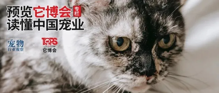 宠物品牌如何通过联名&专供&定制款产品玩转营销丨预览它博会