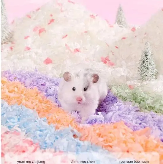 宠物创意产品品牌卡诺入驻11月广州宠交会品牌出海区