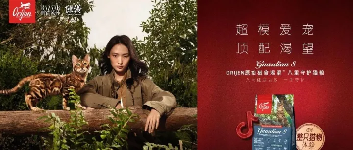 革新传统营销框架，高端宠粮品牌渴望如何引领行业升级？