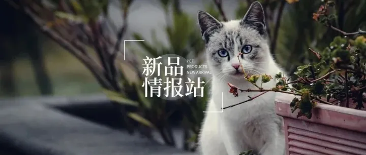 海洋之星、丸味、食物链、喵哇、都乐时、MOOKIPET、壳之灵、丑丑、卡诺、puppy gallery等品牌上新丨新品情报站