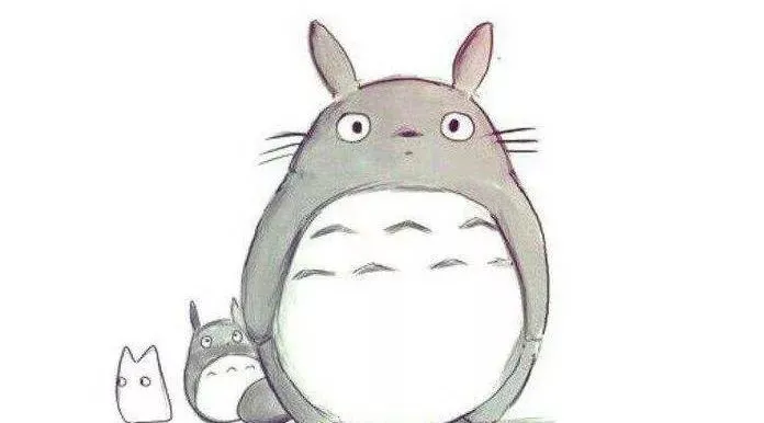 小宠行业介绍——龙猫