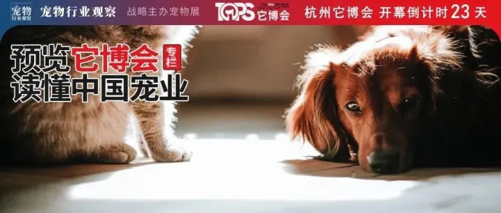 宠物智能用品的边界在哪里丨预览它博会