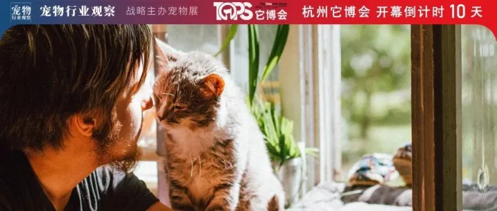 产能？健康？工艺？2022市场如何破局？