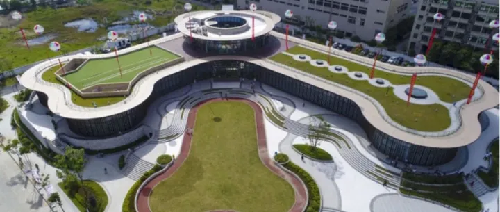 宠物用品出口额12亿的小镇，到底有什么优势？