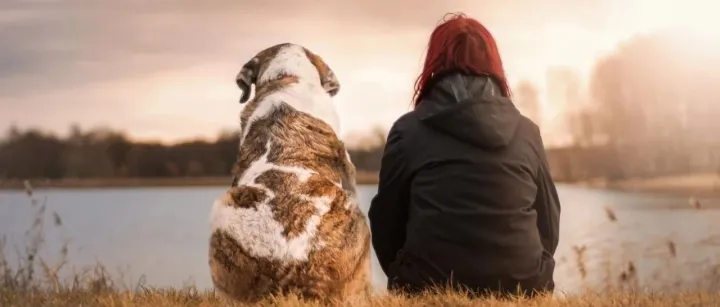 风口之下，“她力量”如何助推萌宠经济发展
