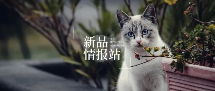 Cature小壳、JJJh紧急集合、半边野兽BabyBeast、喵达MeowStard、野性天生等品牌上新丨新品情报站