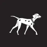 专业宠物牵引绳厂家佳诚，已确认参展首届PSC宠交会