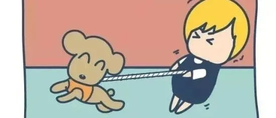 养宠主注意了，这两种情况下不可免责减责 | 围观