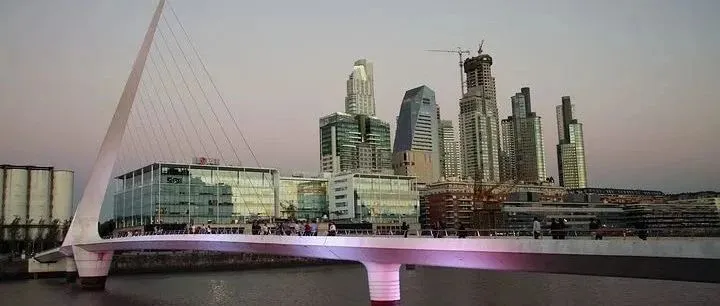 拿下2022世界杯冠军的阿根廷，其宠物市场现状怎么样？ | 社区精选