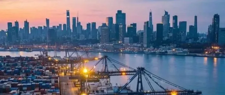 干货：海外宠物品牌，都是如何玩转社媒营销的