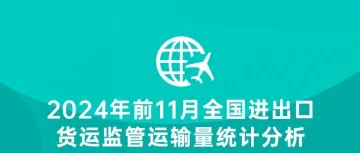 2024年前11月全国进出口货运监管运输量统计分析