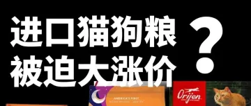 2025关税大涨，进口猫狗粮要集体涨价了？