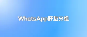 WhatsApp如何进行好友分组，不错过重要消息