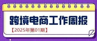 【跨境电商周报2025年第01期】