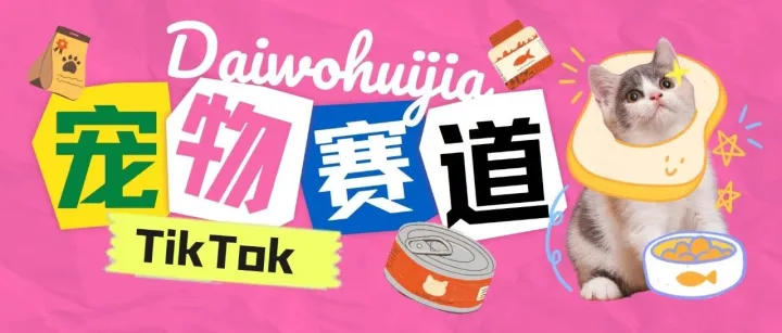 宠物细分赛道持续走红TikTok，一顶假发做出大生意